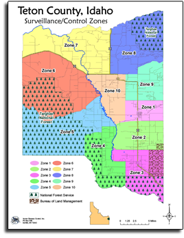 Surveillance/Control Zones